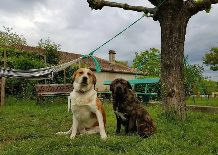 Gite En Sud Ardeche